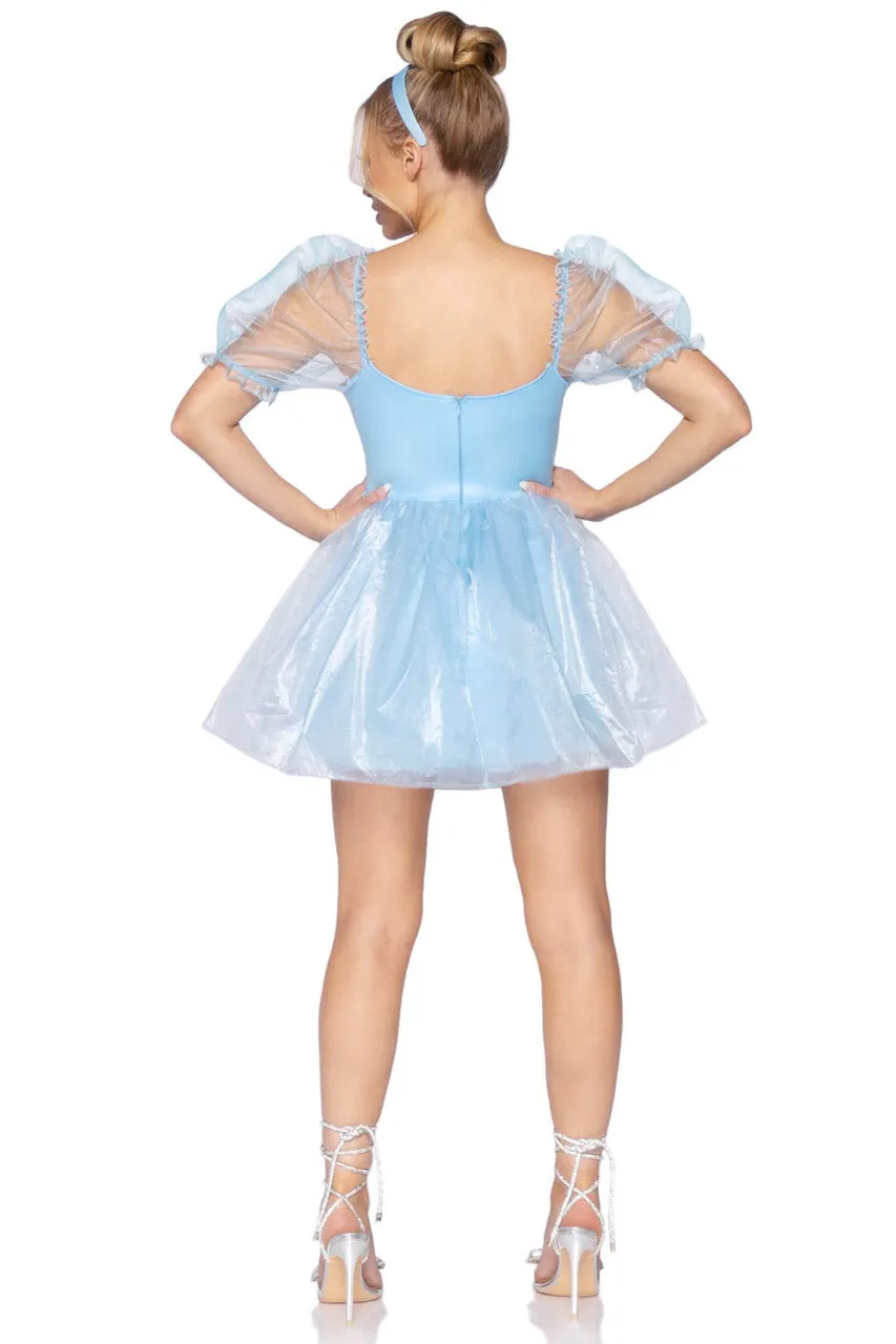 Frosted Organza Princess Costume Dress