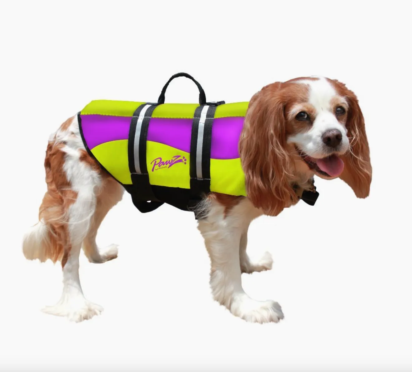 Pawz Neoprene Pet Life Vest